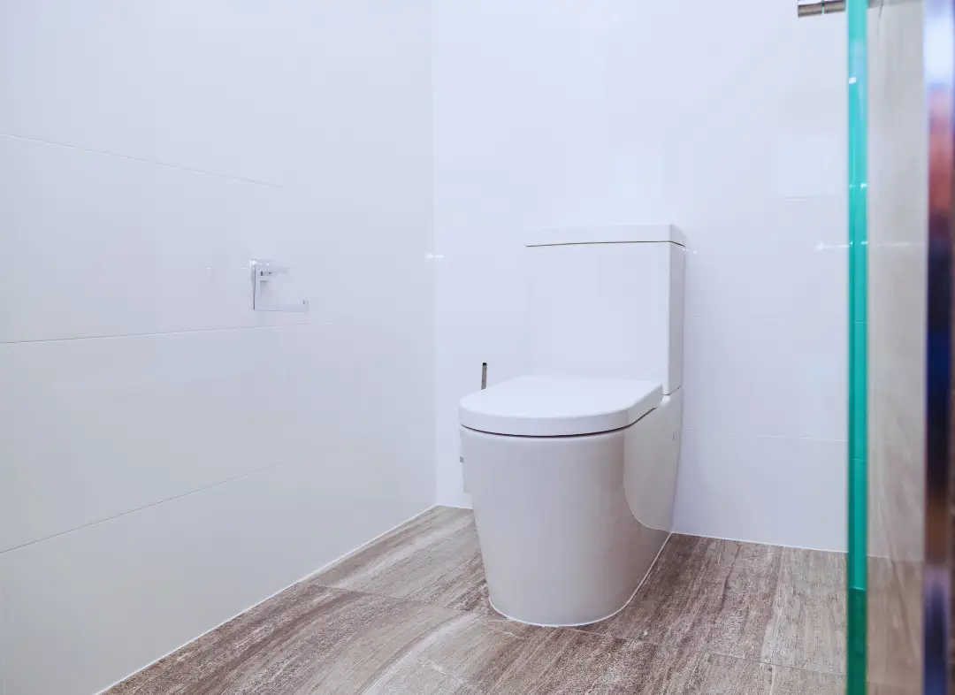 Remplacement de wc Labège